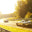 Trackday Nordschleife September 2022