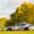 Trackday Nordschleife Oktober 2022
